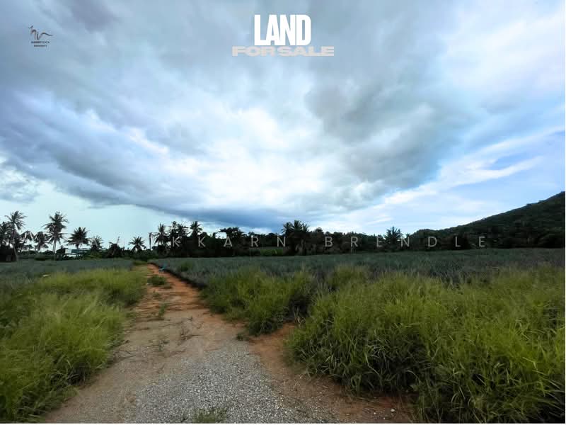 Mountain View Land for Sale in Wang Pong, Hua Hin | 7.83 Rai, Prachuap Khiri Khan, Wang-Pong, Pran Buri, Prachuap Khiri Khan, , 12,528 sqm, Land For Sale, by Kanokkarn Brendle, 500394074 - DDproperty.com