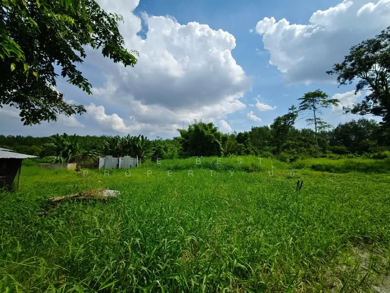 ที่ดินแสลง จันทบุรี, Chanthaburi, Salaeng, Muang Chanthaburi, Chanthaburi, , 10,274 sqm, Land For Sale, by The Best Property ป้อ, 500394189 - DDproperty.com