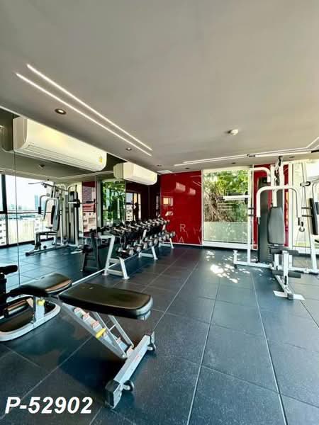 Plum Condo Sukhumvit 62, Bangkok, Sukhumvit 62, Bang Chak, Phra Khanong, Bangkok, 1 Bedroom, 28 sqm, Condo For Rent, by Susira Preuksawun, 500394264 - DDproperty.com