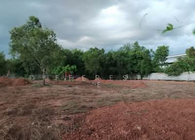 ขาย - ที่ดินออเงิน สายไหมซอยจตุโชติ 4, กรุงเทพ