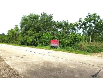 ขาย - ที่ดินวังจันทร์ ระยอง, ระยอง