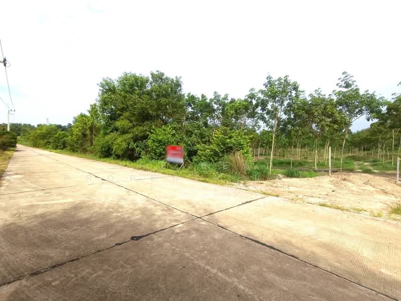 ที่ดินวังจันทร์ ระยอง, Rayong, Plong Ta Iam, Wang Chan, Rayong, , 10,768 sqm, Land For Sale, by The Best Property แบงค์, 500394458 - DDproperty.com