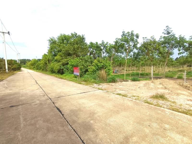 ที่ดินวังจันทร์ ระยอง, Rayong, Plong Ta Iam, Wang Chan, Rayong, , 10,768 sqm, Land For Sale, by The Best Property แบงค์, 500394458 - DDproperty.com