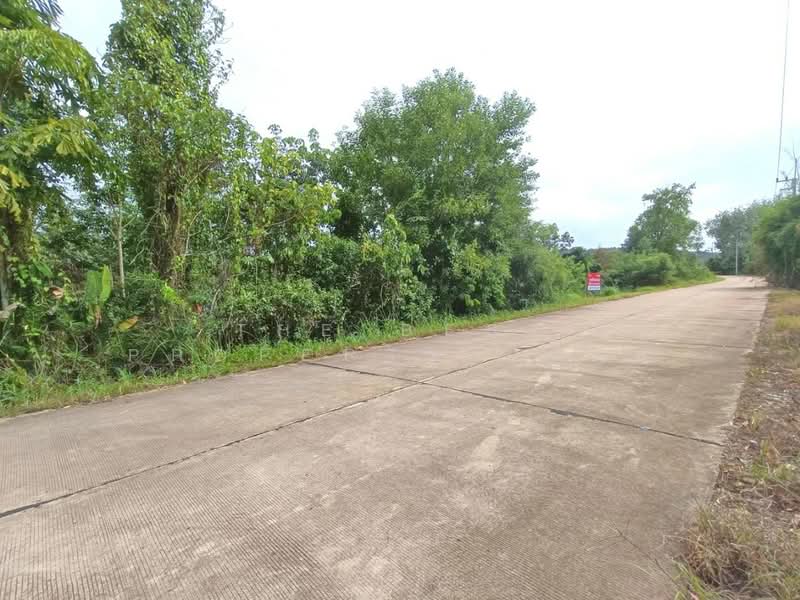 ที่ดินวังจันทร์ ระยอง, Rayong, Plong Ta Iam, Wang Chan, Rayong, , 10,768 sqm, Land For Sale, by The Best Property แบงค์, 500394458 - DDproperty.com
