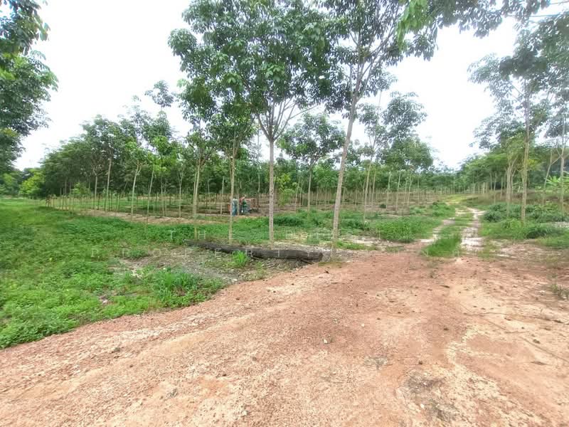 ที่ดินวังจันทร์ ระยอง, Rayong, Plong Ta Iam, Wang Chan, Rayong, , 10,768 sqm, Land For Sale, by The Best Property แบงค์, 500394458 - DDproperty.com