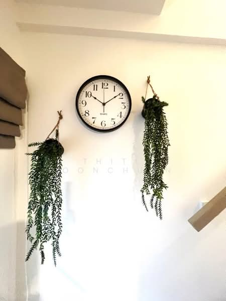 Indy 2 Bangna-Ramkhamhaeng 2, Bangkok, Soi Ramkhamhaeng 2, Dok Mai, Prawet, Bangkok, 2 Bedrooms, 120 sqm, Townhouse For Rent, by Thiti Boonchurn, 500394545 - DDproperty.com