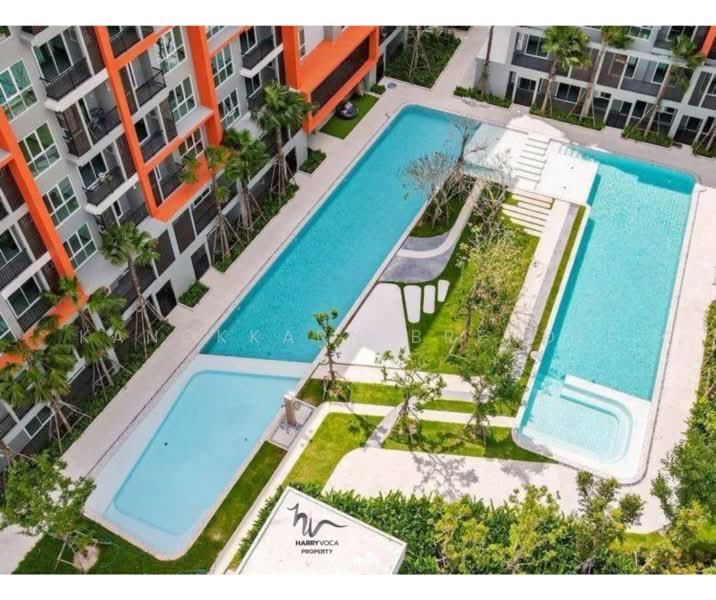 My Style Hua Hin 102 : มายสไตล์ หัวหิน 102, ประจวบคีรีขันธ์, ซอย หัวหิน 102, หนองแก, หัวหิน, ประจวบคีรีขันธ์, 33 ตร.ม., คอนโด ขาย, โดย Kanokkarn Brendle, 500394649 - DDproperty.com