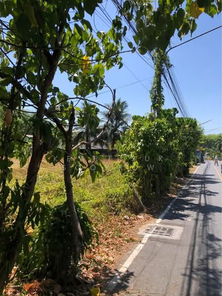 3-BR House, Phuket, Sri Sunthon, Thalang, Phuket, 3 Bedrooms, 150 sqm, Single Detached House For Sale, by Keartisuk Sookkow, 500394688 - DDproperty.com