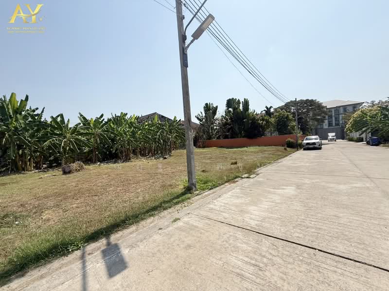 ปากเกร็ด, นนทบุรี, แจ้งวัฒนะ-ปากเกร็ด, บางตลาด, ปากเกร็ด, นนทบุรี, 2,103 ตร.ม., ที่ดิน ขาย, โดย ณัฎฐ์ ยศขุน, 500394739 - DDproperty.com