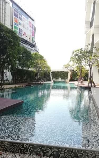 IDEO Verve Sukhumvit, Bangkok, 2077 Sukhumvit Road, Phra Kanong Nua, Watthana, Bangkok, 1 Bedroom, 31 sqm, Condo For Rent, by Isika Tonkham, 500394758 - DDproperty.com