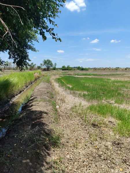 Land for sale Khlong Sam, Khlong Luang, Pathum Thani Near Wat Phra Dhammakaya, Pathum Thani, วงแหวนกาญจนาภิเษก, Khlong Sam, Khlong Luang, Pathum Thani, , 58,000 sqm, Land For Sale, by Sirithong Saetang, 500394768 - DDproperty.com