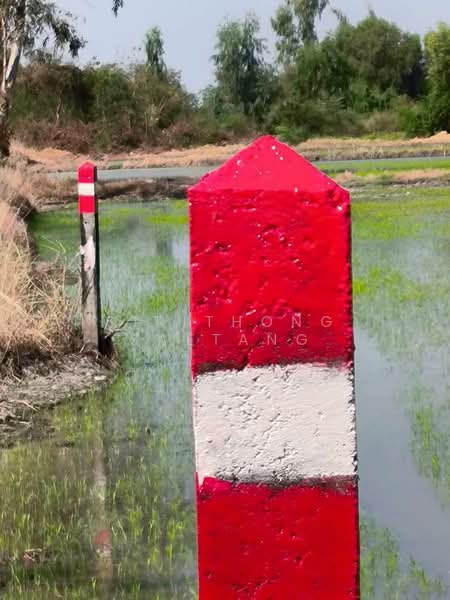 Land for sale Khlong Sam, Khlong Luang, Pathum Thani Near Wat Phra Dhammakaya, Pathum Thani, วงแหวนกาญจนาภิเษก, Khlong Sam, Khlong Luang, Pathum Thani, , 58,000 sqm, Land For Sale, by Sirithong Saetang, 500394768 - DDproperty.com