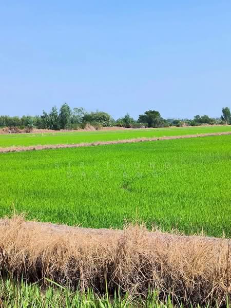 Land for sale Khlong Sam, Khlong Luang, Pathum Thani Near Wat Phra Dhammakaya, Pathum Thani, วงแหวนกาญจนาภิเษก, Khlong Sam, Khlong Luang, Pathum Thani, , 58,000 sqm, Land For Sale, by Sirithong Saetang, 500394768 - DDproperty.com