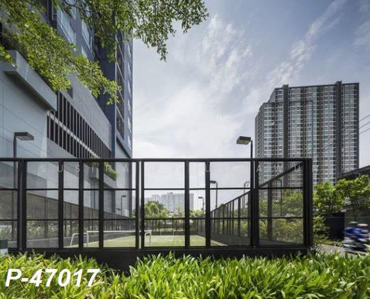 The Base Sukhumvit 77 : เดอะ เบส สุขุมวิท 77, กรุงเทพ, 289 ถนนสุขุมวิท 77, พระโขนงเหนือ, วัฒนา, กรุงเทพ, 31 ตร.ม., คอนโด ให้เช่า, โดย Susira Preuksawun, 500395063 - DDproperty.com