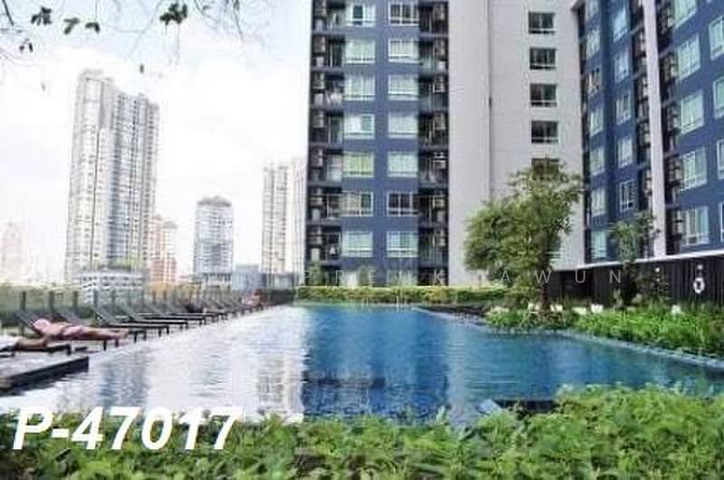The Base Sukhumvit 77 : เดอะ เบส สุขุมวิท 77, กรุงเทพ, 289 ถนนสุขุมวิท 77, พระโขนงเหนือ, วัฒนา, กรุงเทพ, 31 ตร.ม., คอนโด ให้เช่า, โดย Susira Preuksawun, 500395063 - DDproperty.com