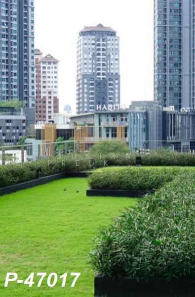 The Base Sukhumvit 77 : เดอะ เบส สุขุมวิท 77, กรุงเทพ, 289 ถนนสุขุมวิท 77, พระโขนงเหนือ, วัฒนา, กรุงเทพ, 31 ตร.ม., คอนโด ให้เช่า, โดย Susira Preuksawun, 500395063 - DDproperty.com