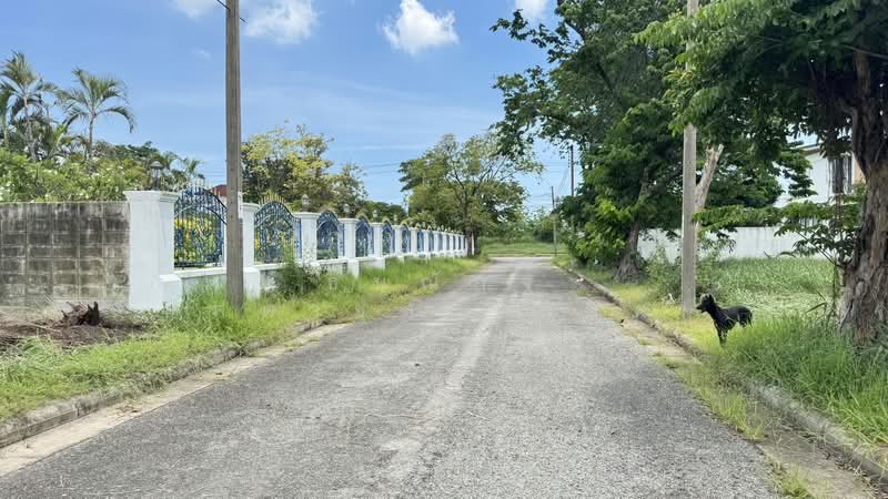 Lakewood Village : หมู่บ้าน เลควูด, สมุทรปราการ, ถนนบางนา-ตราด, บางโฉลง, บางพลี, สมุทรปราการ, 836 ตร.ม., ที่ดิน ขาย, โดย ธนณัฎฐ์ ศตายุสกุลวงศ์, 500395185 - DDproperty.com