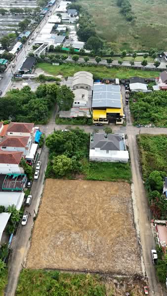 ที่ดิน1ไร่ทวีวัฒนา9 ใกล้ตลาดธนบุรี สนามหลวง2 เพียง500m, Bangkok, Thawi Watthana, Bangkok, , 1,600 sqm, Land For Sale, by เกวลี สิงห์ต๊ะน๊ะ, 500395332 - DDproperty.com