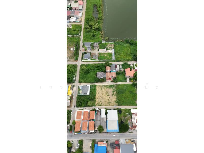 ที่ดิน1ไร่ทวีวัฒนา9 ใกล้ตลาดธนบุรี สนามหลวง2 เพียง500m, Bangkok, Thawi Watthana, Bangkok, , 1,600 sqm, Land For Sale, by เกวลี สิงห์ต๊ะน๊ะ, 500395332 - DDproperty.com
