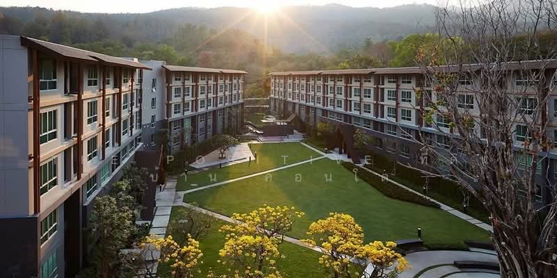 Dcondo Campus Resort Chiang Mai : ดีคอนโด แคมปัส รีสอร์ท เชียงใหม่, เชียงใหม่, สุเทพ, เมืองเชียงใหม่, เชียงใหม่, 29 ตร.ม., คอนโด ขาย, โดย The Positive ที่ดิน บ้าน คอนโด, 500395544 - DDproperty.com