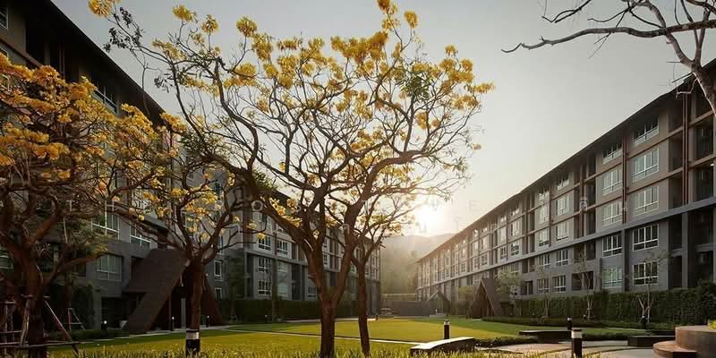 Dcondo Campus Resort Chiang Mai, Chiang Mai, Suthep, Su Thep, Muang Chiang Mai, Chiang Mai, 1 Bedroom, 29 sqm, Condo For Sale, by The Positive ที่ดิน บ้าน คอนโด, 500395544 - DDproperty.com