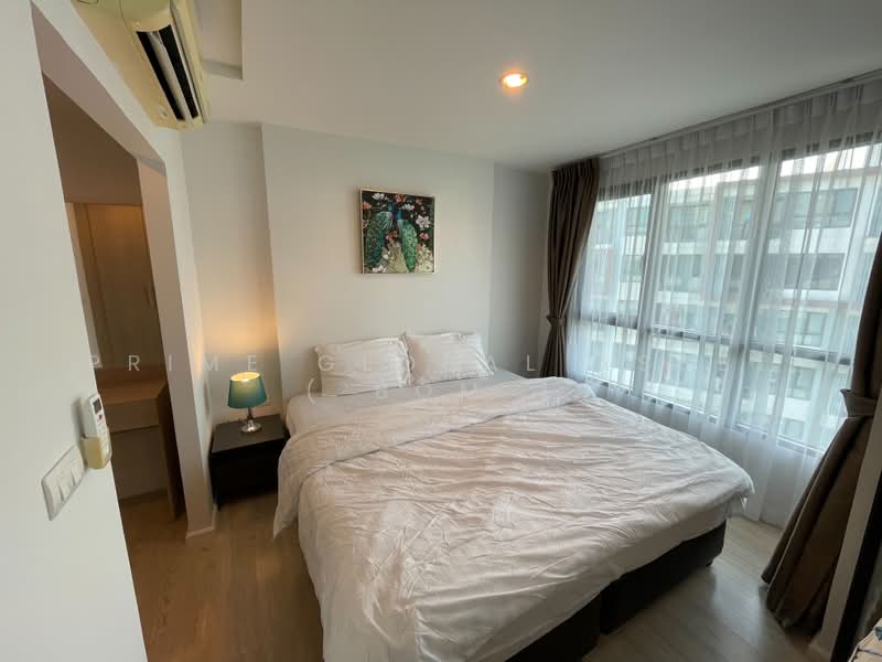 Centrio Condominium : เซนทริโอ คอนโดมิเนียม, ภูเก็ต, วิชิตสงคราม, กะทู้, กะทู้, ภูเก็ต, 31 ตร.ม., คอนโด ให้เช่า, โดย Prime Global Asset ( Bom ), 500395717 - DDproperty.com