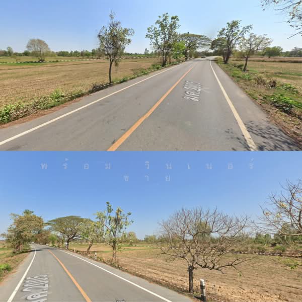 land 8-2-23 rai Lat Phatthana, Mueang Maha Sarakham District, Maha Sarakham, Talat Pattana, Muang Maha Sarakham, Maha Sarakham, , 13,692 sqm, Land For Sale, by พร้อม วินเนอร์ ขาย, 500395732 - DDproperty.com