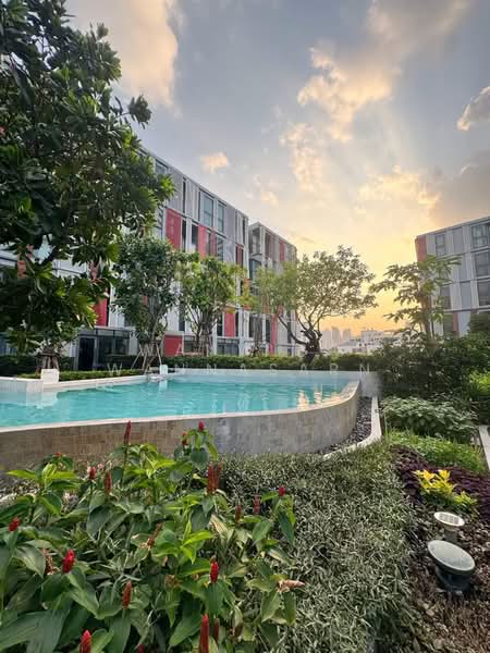 Taka Haus, Bangkok, 99 Soi Ekamai 10, Khlong Tan Nua, Watthana, Bangkok, 1 Bedroom, 36 sqm, Condo For Rent, by Wanwisa Wannasarn, 500395925 - DDproperty.com
