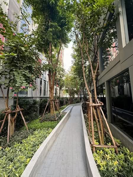 Taka Haus, Bangkok, 99 Soi Ekamai 10, Khlong Tan Nua, Watthana, Bangkok, 1 Bedroom, 36 sqm, Condo For Rent, by Wanwisa Wannasarn, 500395925 - DDproperty.com