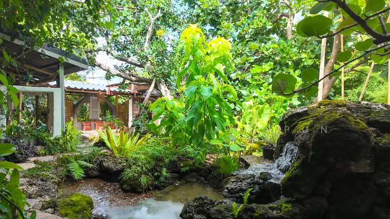 บลู บันนี่ คาเฟ่ หัวหิน, ประจวบคีรีขันธ์, หัวหิน, ประจวบคีรีขันธ์, 800 ตร.ม., กิจการ ขาย, โดย Nichapa Nuntapun, 500396475 - DDproperty.com
