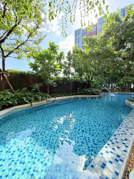 The Base Bukit Phuket : เดอะ เบส บูกิต, ภูเก็ต, 12 ถ.วิชิตสงคราม, วิชิต, เมืองภูเก็ต, ภูเก็ต, 35 ตร.ม., คอนโด ให้เช่า, โดย Prime James, 500396942 - DDproperty.com