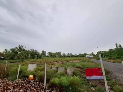 ขาย - ที่ดินอัมพวา สมุทรสงคราม, สมุทรสงคราม