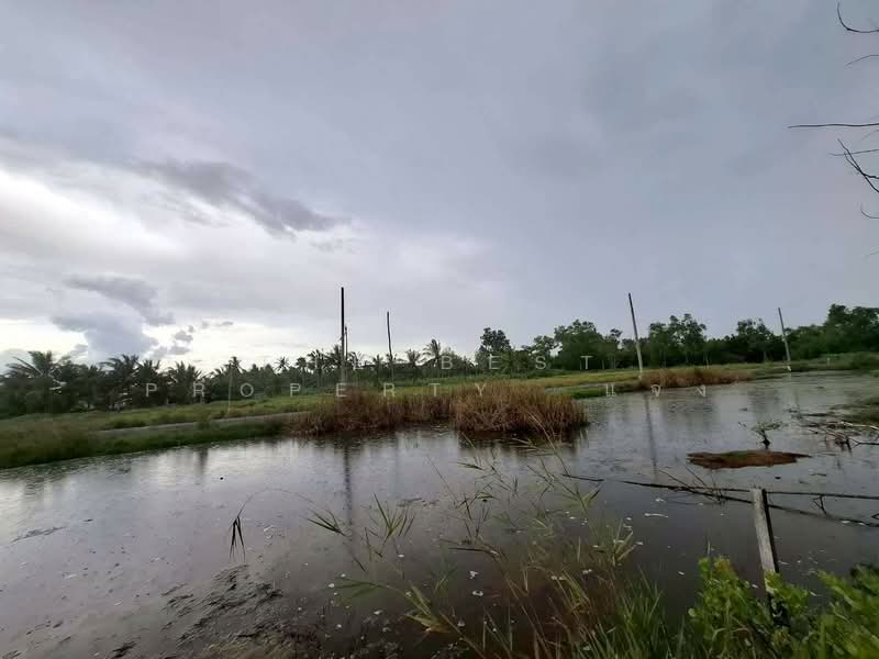 ที่ดินอัมพวา สมุทรสงคราม, Samut Songkhram, Yi San, Amphawa, Samut Songkhram, , 4,784 sqm, Land For Sale, by The Best Property  แจง, 500396945 - DDproperty.com