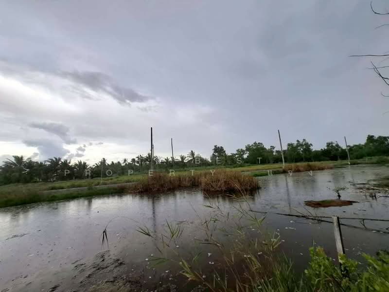 ที่ดินอัมพวา สมุทรสงคราม, Samut Songkhram, Yi San, Amphawa, Samut Songkhram, , 4,784 sqm, Land For Sale, by The Best Property  แจง, 500396945 - DDproperty.com
