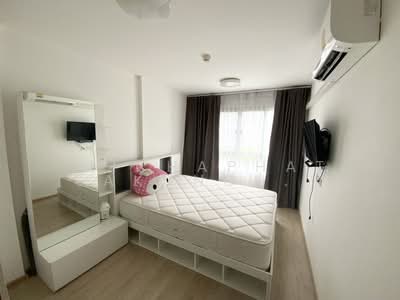 For Rent - Elio Sukhumvit 64 : เอลลิโอ สุขุมวิท 64, Bangkok