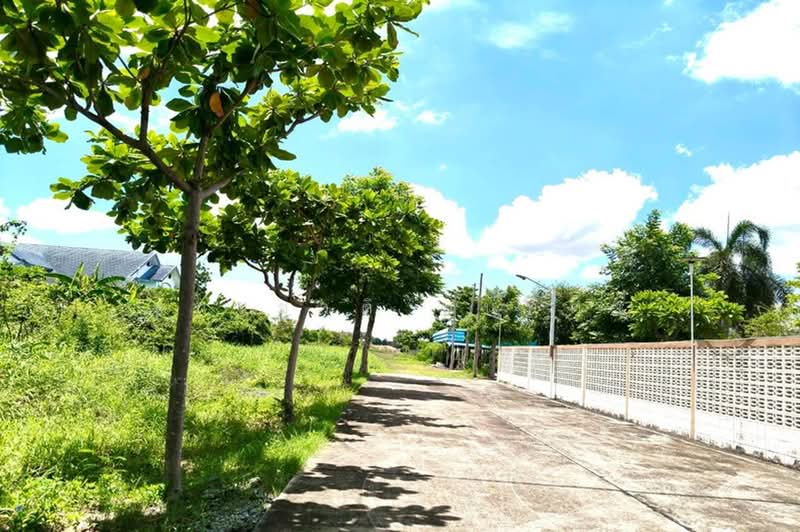 ที่ดินเปล่า เนื้อที่ 536 ตร.ว. ใกล้ซอยสายไหม 39 (ตรงข้ามศูนย์รถ MG) ถนนสายไหม แขวงสายไหม เขตสายไหม, Bangkok, Sai Mai, Bangkok, , 2,144 sqm, Land For Sale, by ชนะชาติ นนท์ตา, 500396989 - DDproperty.com