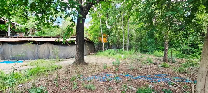 บ้านเดี่ยวพร้อมที่ดินโคกสำโรง ลพบุรี, ลพบุรี, หลุมข้าว, โคกสำโรง, ลพบุรี, 150 ตร.ม., บ้านเดี่ยว ขาย, โดย The Best Property เท่ห์, 500397013 - DDproperty.com