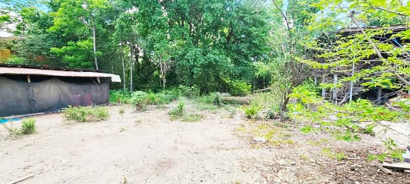 บ้านเดี่ยวพร้อมที่ดินโคกสำโรง ลพบุรี, ลพบุรี, หลุมข้าว, โคกสำโรง, ลพบุรี, 150 ตร.ม., บ้านเดี่ยว ขาย, โดย The Best Property เท่ห์, 500397013 - DDproperty.com