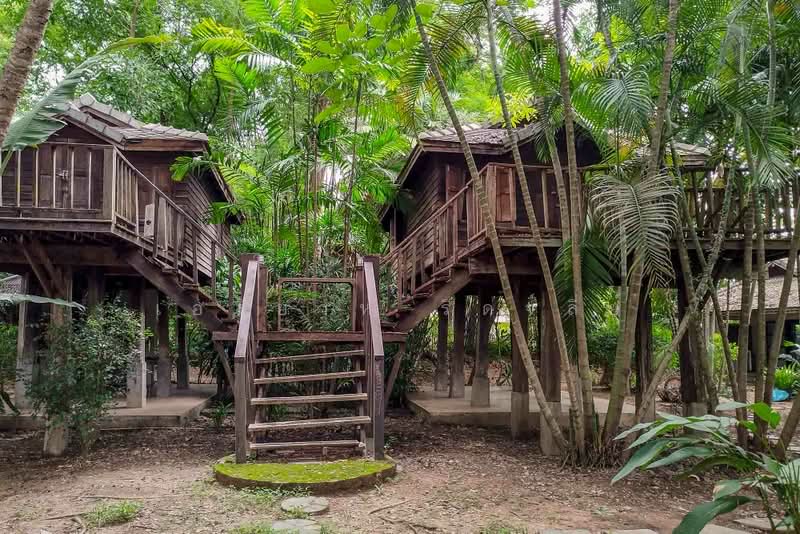 Land & Villa at Nam Phrae, Hang Dong, Chiang Mai, Nam Phare, Hang Dong, Chiang Mai, , 3,464 sqm, Land For Sale, by Elijah Ridgley, 500397050 - DDproperty.com