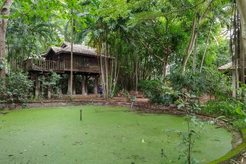 Land & Villa at Nam Phrae, Hang Dong, Chiang Mai, Nam Phare, Hang Dong, Chiang Mai, , 3,464 sqm, Land For Sale, by Elijah Ridgley, 500397050 - DDproperty.com