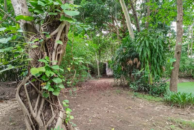 Land & Villa at Nam Phrae, Hang Dong, Chiang Mai, Nam Phare, Hang Dong, Chiang Mai, , 3,464 sqm, Land For Sale, by Elijah Ridgley, 500397050 - DDproperty.com