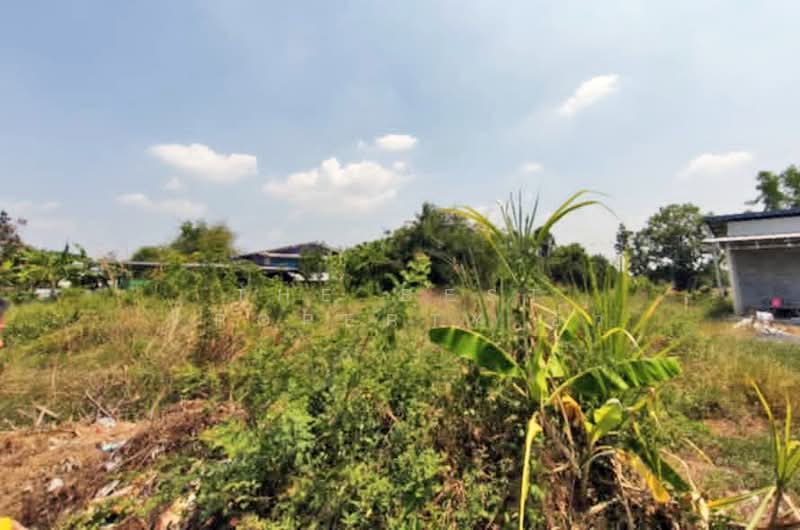 ที่ดินวิหารแดง สระบุรี, สระบุรี, บ้านลำ, วิหารแดง, สระบุรี, 472 ตร.ม., ที่ดิน ขาย, โดย The Best Property อิ๋ว, 500397058 - DDproperty.com