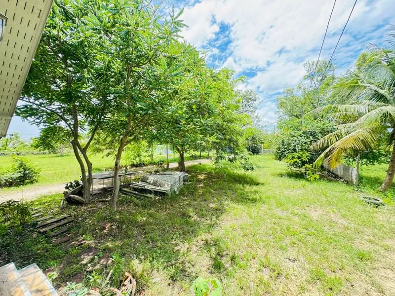บ้านเดี่ยวพร้อมที่ดินท่ายาง เพชรบุรี, Phetchaburi, Nong Chok, Tha Yang, Phetchaburi, 1 Bedroom, 150 sqm, Single Detached House For Sale, by The Best Property รัตน์, 500397087 - DDproperty.com