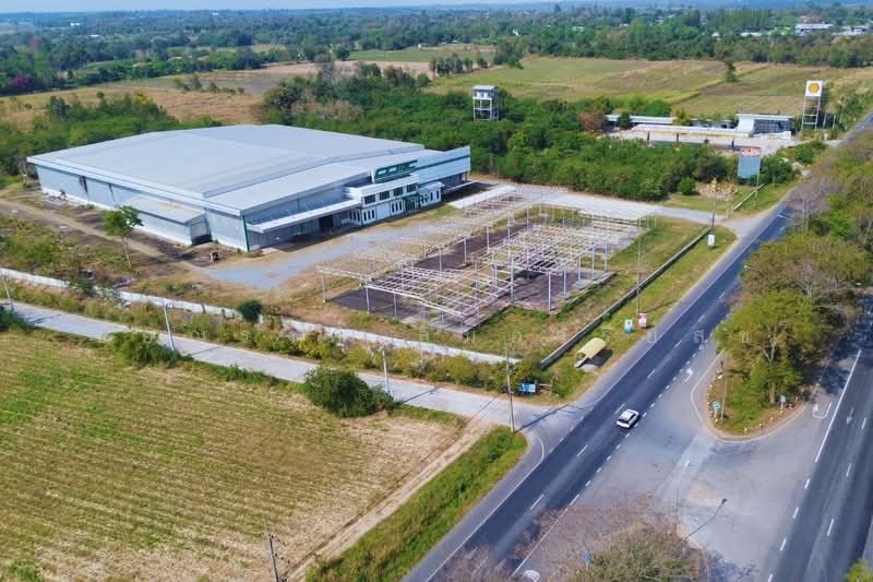 8,000 Sq.m. Warehouse for Rent on Highway 304, Pak Thong Chai, Korat, Nakhon Ratchasima, ถนนนครราชสีมา - กบินทร์บุรี, Thong Chai Nua, Pak Thong Chai, Nakhon Ratchasima, , 8,000 sqm, Warehouse/Factory For Rent, by ชัยณรงค์ ลิ้มอารีย์สุข, 500397101 - DDproperty.com
