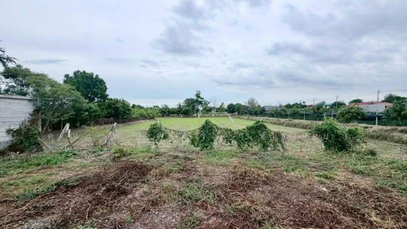 ที่ดินเปล่า 110 ตารางวา บางคูรัด ถมแล้ว, Nonthaburi, กาญจนาภิเษก, Bang Khu Rat, Bang Bua Thong, Nonthaburi, , 440 sqm, Land For Sale, by คุณ พิมพ์สิริ (ทราย), 500397104 - DDproperty.com