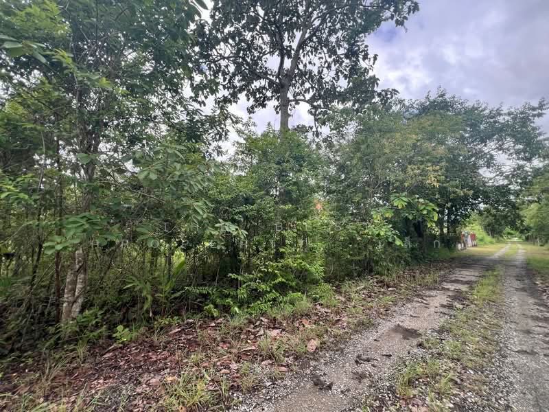 ที่ดินแม่ริม เชียงใหม่, Chiang Mai, Huai Sai, Mae Rim, Chiang Mai, , 1,596 sqm, Land For Sale, by The Best Property  เล็ก, 500397170 - DDproperty.com