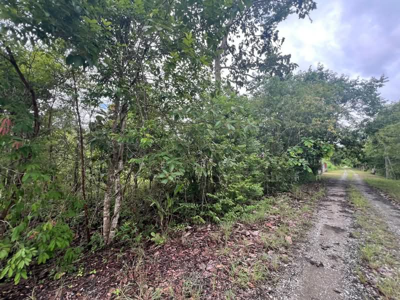 ที่ดินแม่ริม เชียงใหม่, Chiang Mai, Huai Sai, Mae Rim, Chiang Mai, , 1,596 sqm, Land For Sale, by The Best Property  เล็ก, 500397170 - DDproperty.com