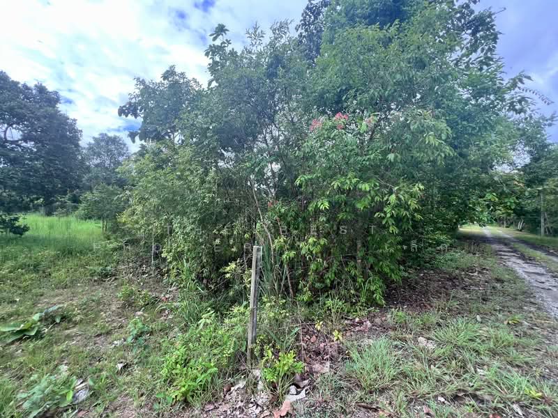 ที่ดินแม่ริม เชียงใหม่, Chiang Mai, Huai Sai, Mae Rim, Chiang Mai, , 1,596 sqm, Land For Sale, by The Best Property  เล็ก, 500397170 - DDproperty.com