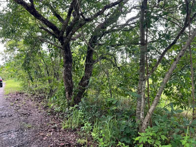 ที่ดินแม่ริม เชียงใหม่, Chiang Mai, Huai Sai, Mae Rim, Chiang Mai, , 1,596 sqm, Land For Sale, by The Best Property  เล็ก, 500397170 - DDproperty.com