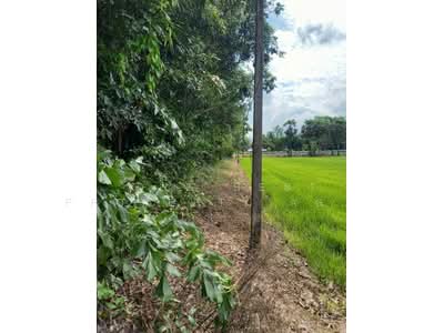 ขาย - ที่ดินดงละคร นครนายก, นครนายก
